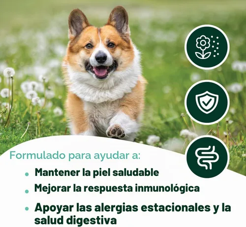 Vista 5 de Masticables para Alergias de Perros con Probióticos Masticables para Alergias Estacionales para Perros con Aceite de Salmón Salvaje de Alaska