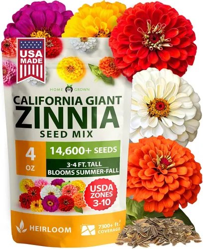 Vista 64 de HOME GROWN Semillas de zinnia rosa – 300 zinnias Luminosa 0.5g, semillas anuales de flores fáciles de cultivar para plantar al aire libre para 2026