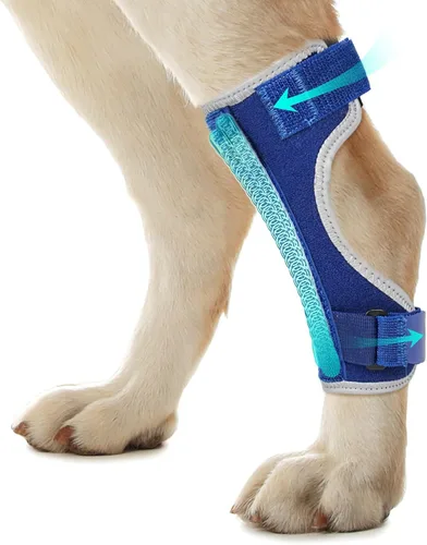 Vista 9 de Soportes para patas de perro para patas traseras y delanteras, soporte articular de perro y tobillo para patas traseras débiles con 2 tiras