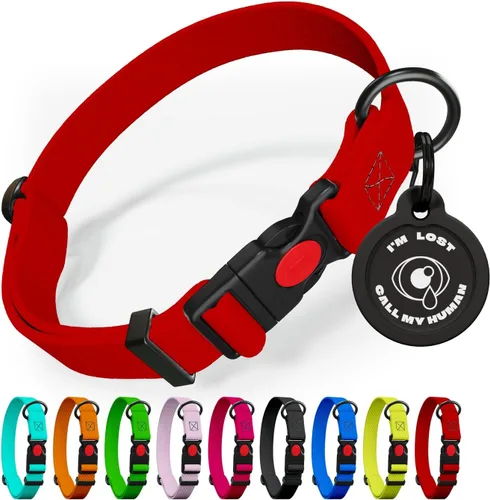 Vista 13 de Collar de perro ajustable con código QR identificación adjunta, fabricado en Estados Unidos, collar de perro resistente al agua con hebilla