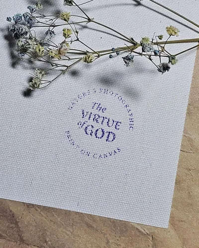 Vista 6 de The Virtue of God -Auténtica fotografía macro de naturaleza-Flores blancas de primavera con gotas de lluvia, juego de 4 cuadros cuadrados sin marco