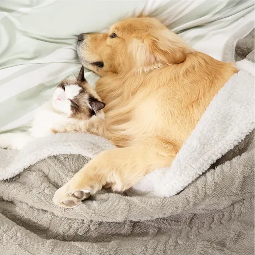 Vista 7 de Bedsure - Mantas impermeables para perros para la cama - Manta para mascotas para cama y sofá lavable, manta de forro polar de jacquard para gatos