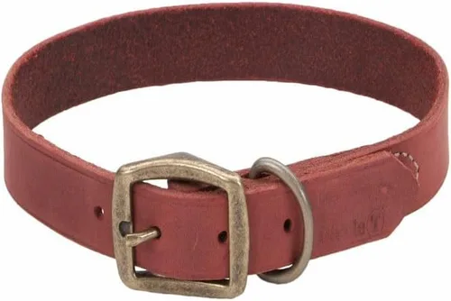 Vista 15 de Coastal Pet - Circle T - Collar de piel rústica para perro, rojo ladrillo, 1 x 20 pulgadas