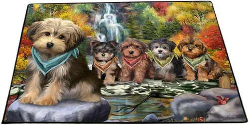 Vista 21 de Doggie of the Day Yorkipoo Dogs Floor Mat - 4th of July Independence Day - Best Dog Doormat - Protector Decor - Unique Portrait Art - Premium