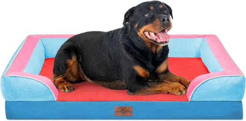 Vista 169 de Comfort Expression - Cama ortopédica para perros medianos, 28 x 19 pulgadas, cama impermeable y de apoyo de espuma con cojines removibles, sofá