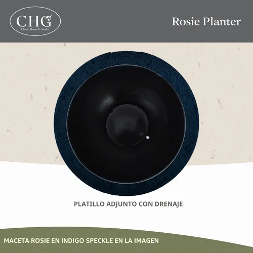 Vista 3 de GROWSCAPE Rosie Planter Bowl, with Drainage and Saucer, 10” Earth TIERRA