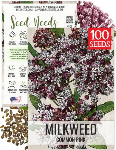 Vista 28 de Seed Needs Semillas de algodoncillo de mariposa naranja para mariposas monarca, 1 paquete