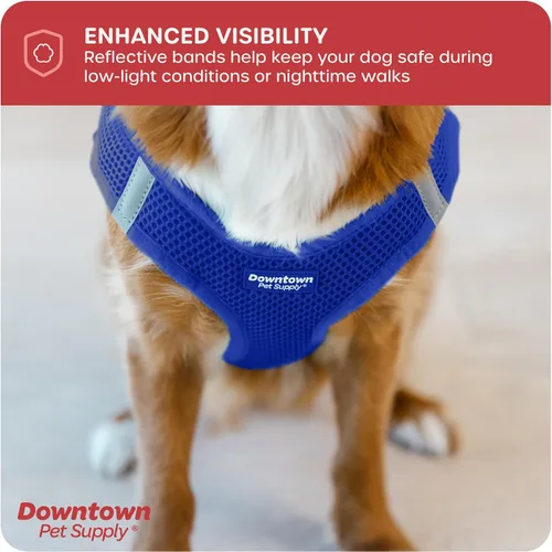 Vista 223 de Downtown Pet Supply Arnés para perro Step-in – Sin tirones, malla acolchada ajustable con ribete reflectante, correa de hebilla segura – Arnés