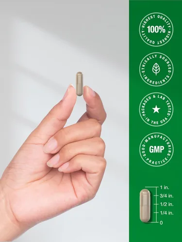 Vista 7 de Horbäach Saw Palmetto Extract 120 cápsulas Fórmula sin OMG y sin gluten de Saw Palmetto Berries