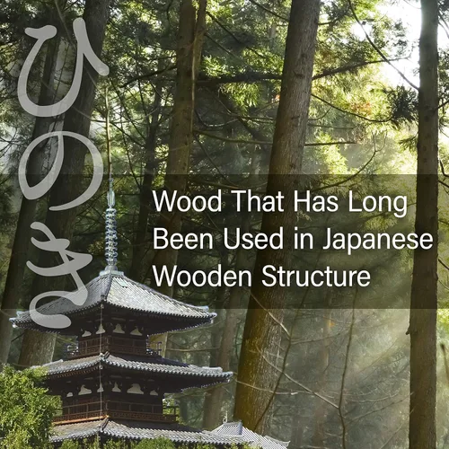 Vista 3 de YAMASAN KYOTO UJI Tabla de Cortar Japonesa Hinoki - Pequeña - Tabla de Cortar de Madera de Ciprés Natural, Tabla de Cortar de Cocina, Alta