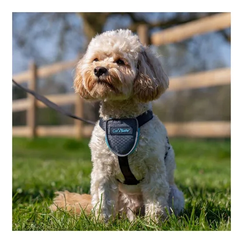Vista 4 de Arnés para Perro Company of Animals CarSafe Negro XS
