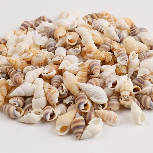 Vista 6 de Conchas de cauri pequeñas cuentas de caurí de concha de mar amarilla natural, conchas ovaladas, conchas de playa de verano, cuentas para pulseras