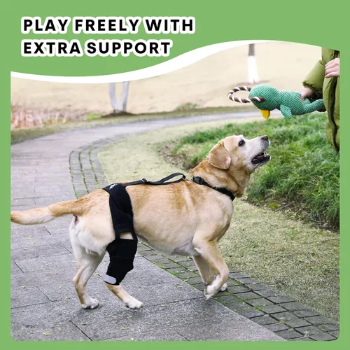 Vista 3 de Rodillera universal para perro con paquete de terapia de frío/calor, ajustable, transpirable, collar extra cómodo con soporte estabilizador
