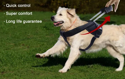 Vista 6 de Yogadog– Arnés resistente para perro, evita tirones, acolchado con correa integrada extendida epecial, costuras reflectantes, especial para perros