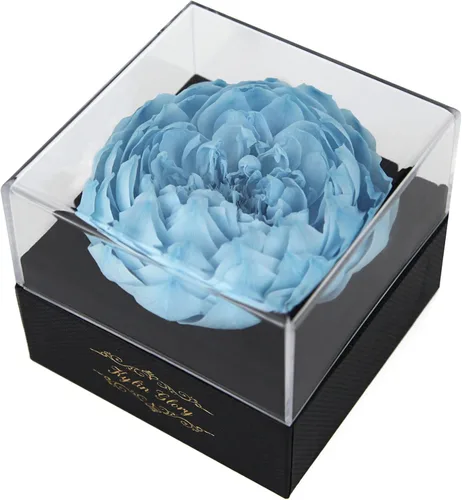 Vista 8 de Rosa preservada de flores recién cortadas para mujeres, mamá, esposa, novia, regalo de flores, decoración de rosa real para el día de la madre, día