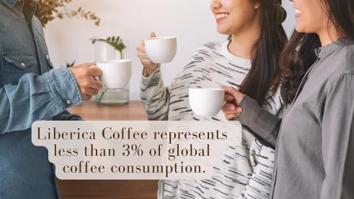 Vista 4 de Artisans Granos de café filipinos, granos Barako Gold tostado medio y oscuro, 1.1 libras por bolsa