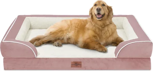 Vista 45 de Comfort Expression - Cama ortopédica para perros medianos, 28 x 19 pulgadas, cama impermeable y de apoyo de espuma con cojines removibles, sofá