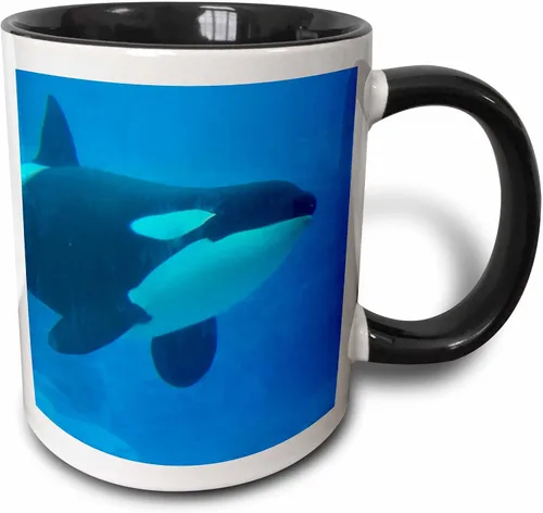 Vista 10 de 3dRose Orca Killer Whale - Taza de cerámica azul subacuática, 11 onzas