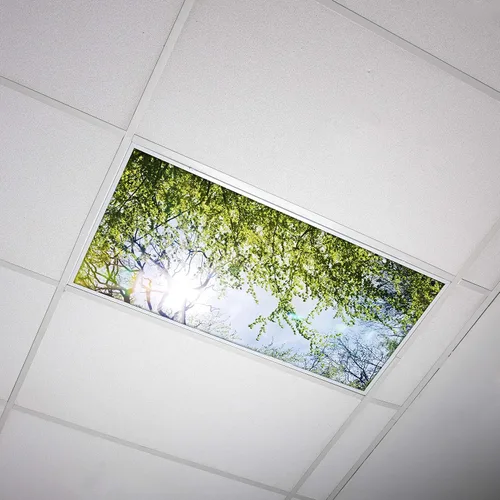 Vista 7 de OCTO LIGHTS Cubiertas fluorescentes de árbol para luces de techo 2x4 Árbol de acacia cielo azul