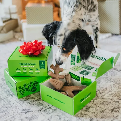 Vista 3 de Benebone Paquete de 4 juguetes masticables para perros para masticadores agresivos y duraderos para masticadores agresivos, tocino real