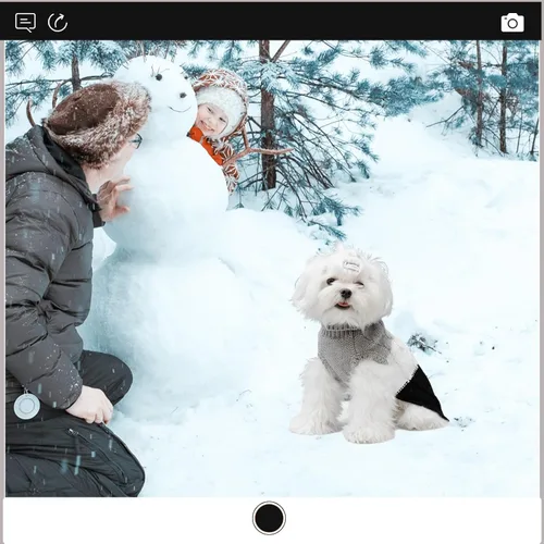 Vista 7 de EXPAWLORER Suéter para perro con agujero para correa, suéteres de otoño para perros pequeños para niñas y niños, ropa clásica de punto de cuello