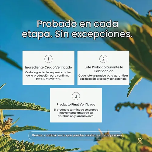 Vista 8 de Infinity Wellness True Greens - Tarro en polvo de jugo verde a base de algas azules con 28 superalimentos orgánicos, sin rellenos ni pastos, energía
