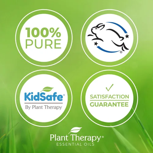 Vista 3 de Plant Therapy KidSafe A+ Attention Aceite esencial sinergético prediluido. Mezcla de: Petitgrain, Bergamota, cedro del Atlas, toronja, lavanda