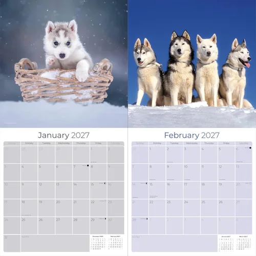 Vista 2 de Razas de Perros 2017 SIBERIAN HUSKY