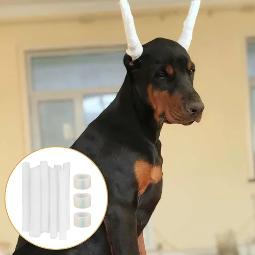 Vista 6 de Ipetboom Kit de 10 piezas de publicación de orejas de perro, herramienta de soporte para orejas de perro, herramienta de soporte para orejas