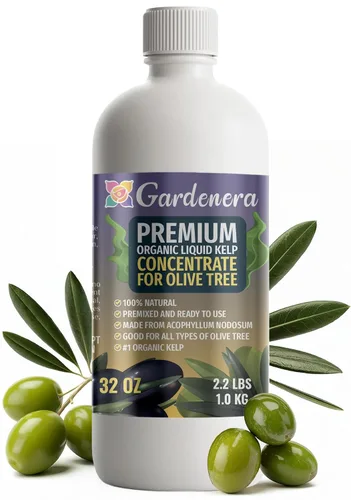 Vista 25 de GARDENERA Superalimento orgánico prémium de algas marinas y algas marinas para plantas AROID - 32 oz - Concentrado de fertilizante líquido de algas