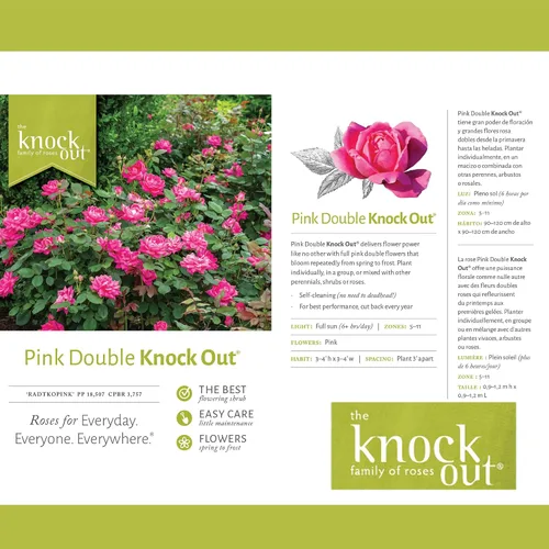 Vista 5 de Knock Out 2 Gal. Arbusto rosa doble rosa