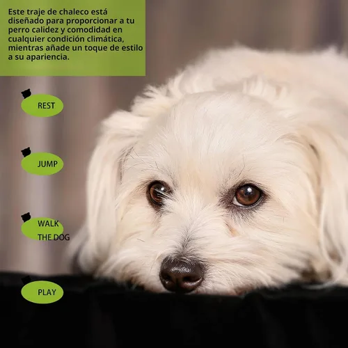 Vista 4 de Eleva el estilo estacional de tu mascota con un desenfado juguetón: con adorables camisas para perros bellamente impresas que presentan patrones