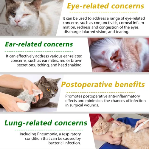 Vista 5 de Antibióticos naturales para gatos, suplementos para mascotas, 2 onzas líquidas/1 paquete de multivitamínicos para gatos, antibiótico para gatos