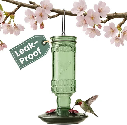 Vista 17 de Perky-Pet 8108-1SR - Comedero de vidrio para colibríes para exteriores, estilo botella antigua, comederos para colibríes de 10 onzas para decoración