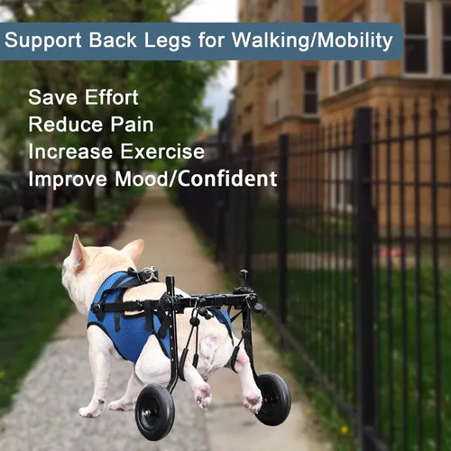 Vista 5 de Silla de ruedas ajustable para perro, scooter ligero para patas traseras, perros con un máximo de 22 libras, silla de ruedas para perros