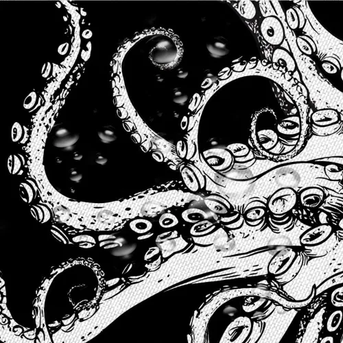 Vista 5 de Cortina de ducha de tentáculo de pulpo, diseño de kraken de océano blanco y negro, divertido animal náutico, vida marina, fresco, moderno, único