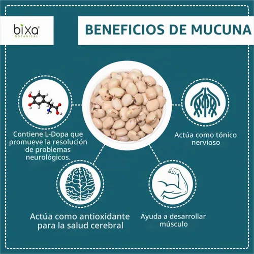 Vista 2 de bixa BOTANICAL Mucuna Pruriens Powder Polvo de frijol de terciopelo