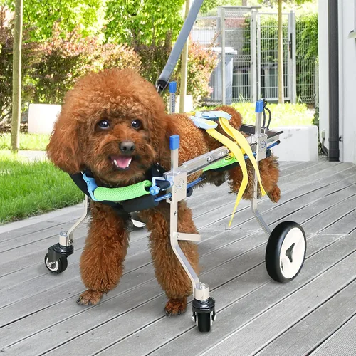 Vista 6 de Silla de ruedas ajustable para perros con cuatro ruedas, remolque de bicicleta de movilidad ligera para mascotas discapacitadas, fácil de montar