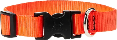 Vista 19 de Collar para perros, ajustable para perros pequeños a grandes. 3/4 de pulgada. De LupinePet, Azul