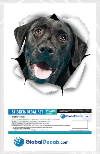 Vista 6 de Winston & Bear Calcomanías 3D para perros, paquete de 2, lindas calcomanías negras para pared, nevera, inodoro y más, calcomanías de labrador negras