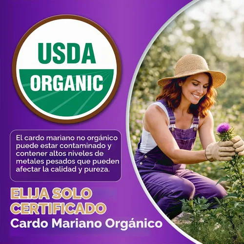 Vista 4 de Cardo mariano orgánico USDA 120ct, extracto 35:1, 80% silimarina