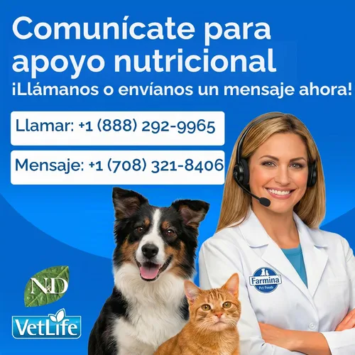 Vista 12 de Farmina N&D, receta de calabaza y codorniz de calabaza, comida seca para gatos adultos, 3.3 libras