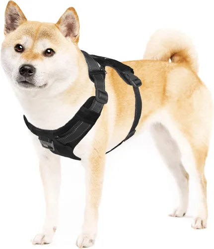 Vista 8 de Outward Hound Boulder Adventure - Arnés ajustable para perro con bolsillos, turquesa, mediano