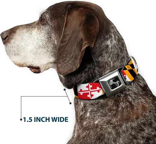 Vista 7 de Collar de perro hebilla de cinturón de seguridad Maryland Banderas 9 a 15 pulgadas 1.0 pulgadas de ancho