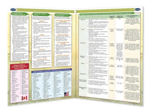 Vista 2 de Permacharts Cannabinoides medicinales - Guía de referencia rápida de CBD 101 - Serie educativa
