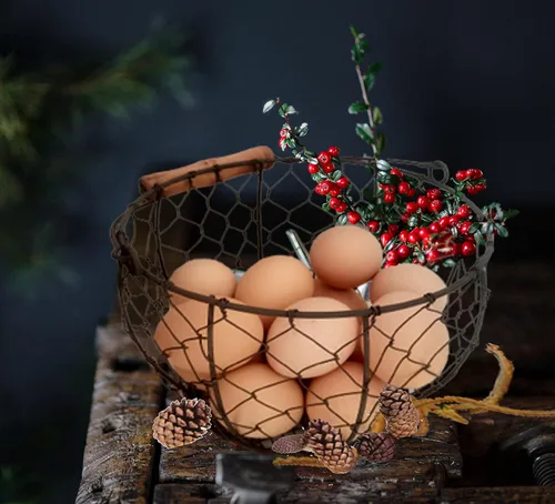 Vista 7 de TAIANLE. Cesta de huevos de alambre con mango de madera, cesta de recolección de huevos de granja con capacidad para 1-3 docenas – encimera
