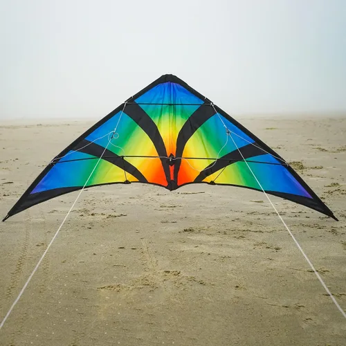 Vista 3 de in The Breeze 48-inch Stunt Kite, Dual Line, Framed Kites for Beginner to Intermediate Sport Kite Flyers Aurora