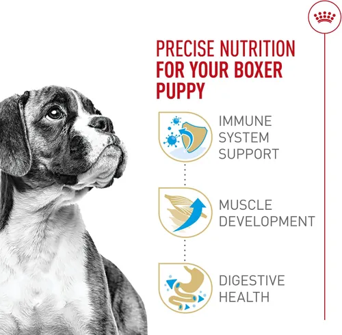 Vista 4 de ROYAL CANIN Boxer Puppy - Alimento seco para perros, bolsa de 30 libras