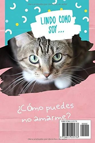 Vista 2 de Lindo Como SoyComo Puedes No Amarme Este cuaderno es perfecto para todos los amantes de los gatos apasionados de los gatos, gatitos o mascotas