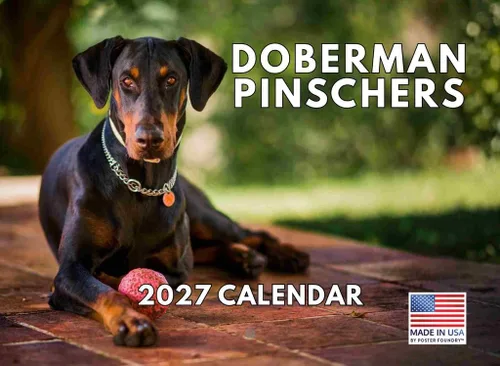 Vista 104 de Calendario mensual de pared Airedale Terrier Dog 2027